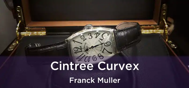  Cintree Curvex Franck Muller