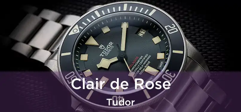  Clair de Rose Tudor