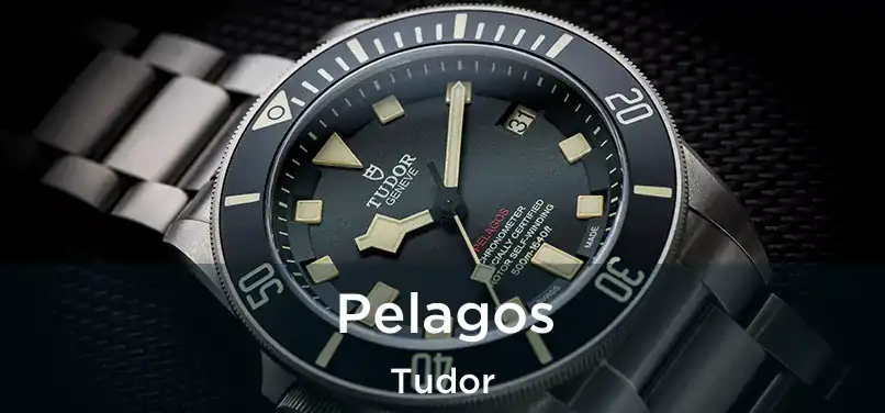  Pelagos Tudor