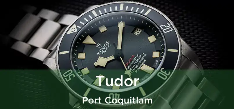  Tudor Port Coquitlam